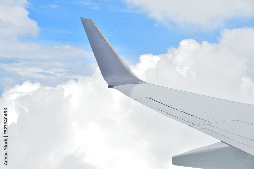 Obraz premium 飛行機の翼