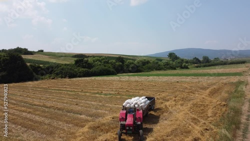 A red tractor in the field is loaded with white sacks full of wheat and is waiting for the driver to take it to the farm