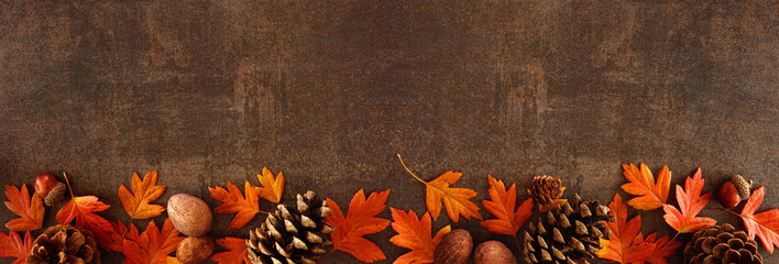 Colorful fall leaves, nuts and pine cones. Bottom border over a rustic dark banner background. Top view with copy space.