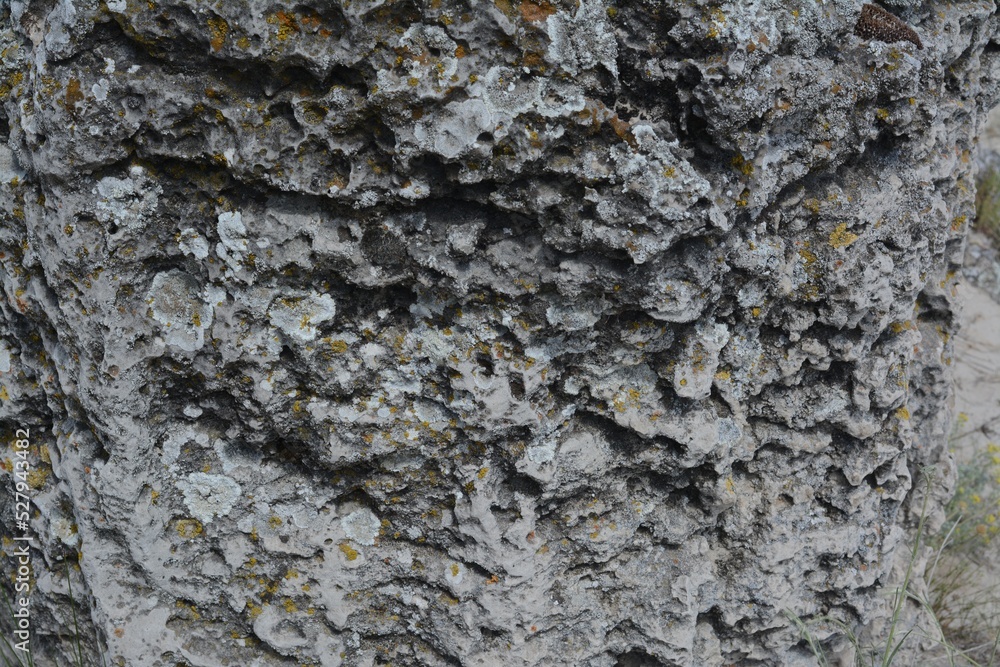 Closeup view of stone covered with lichen as background Closeup view of stone covered with lichen as background
