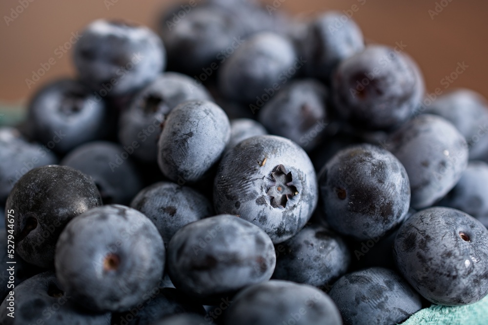 Close up of pint of blueberries Close up of pint of blueberries