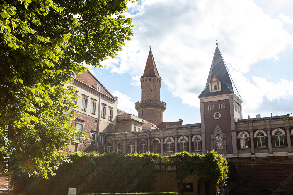 Naklejka premium nice view to the old castle