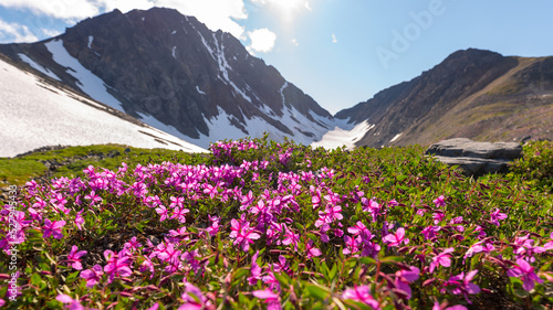 Panoramic mountain summertime views in Yukon Territory near Alaska, USA. 