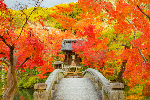 Zenrinji (Eikando) Temple, Nature, Autumn