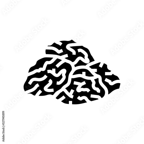 raisin grape glyph icon vector. raisin grape sign. isolated symbol illustration