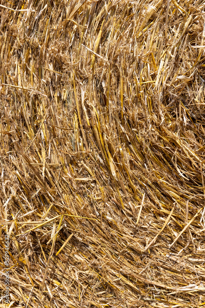 twisted straw stacks after harvest twisted straw stacks after harvest