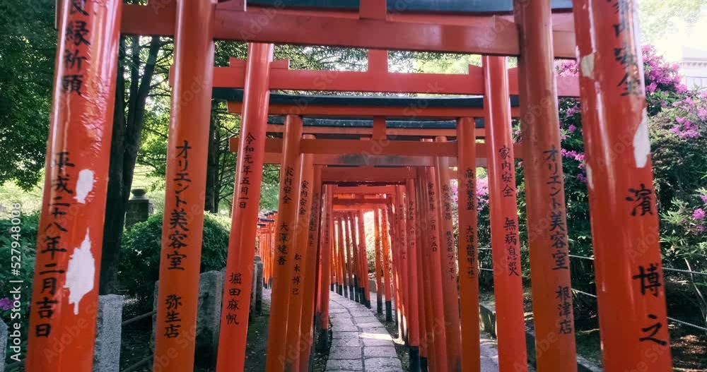 waling through a tunnel of vermilion torii gates in tokyo, japan waling through a tunnel of vermilion torii gates in tokyo, japan