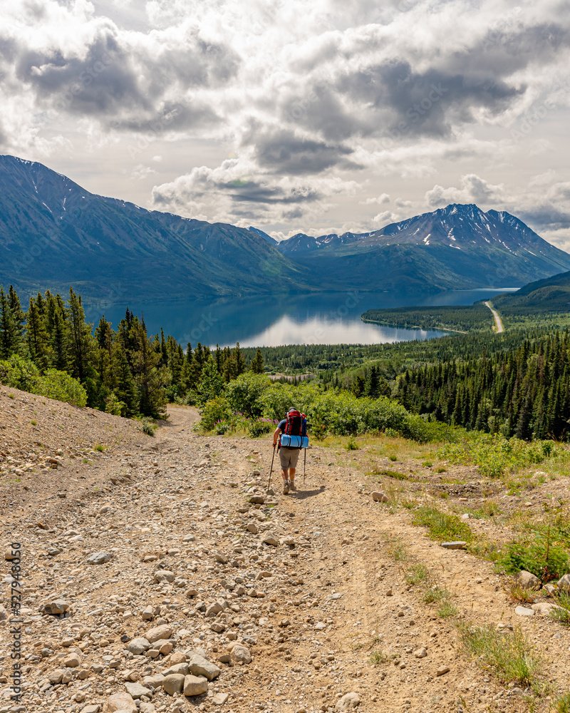 Man hiking in wilderness area near Alaska, Yukon border during summer time. 