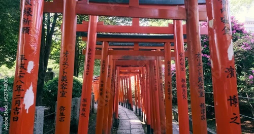 waling through a tunnel of vermilion torii gates in tokyo, japan photo