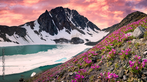Fototapeta Naklejka Na Ścianę i Meble -  Incredible sunset background views from Yukon, Canada with pink pastel sunset and glacial lake. 