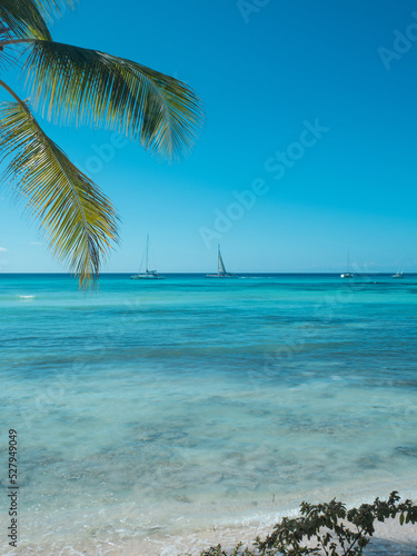 Dominican Republic, a beautiful beach with white sand and azure ocean. palm tree on the shore