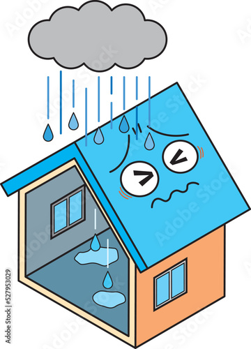雨漏りトラブルの住宅