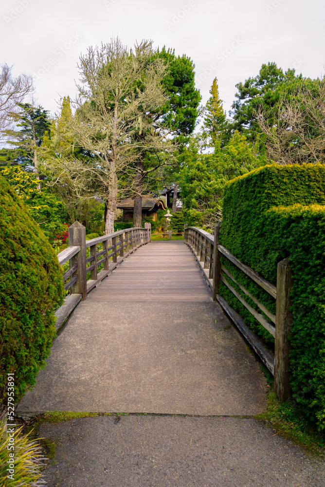 Japanese Tea Garden San Francisco, California, EUA