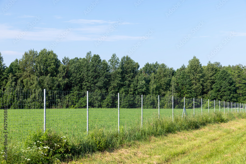 Metal fences for animal protection