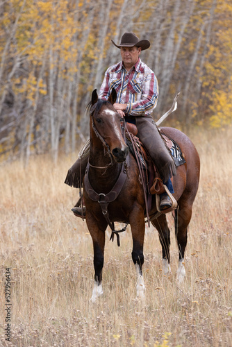 Wyoming Cowboy © Terri Cage 