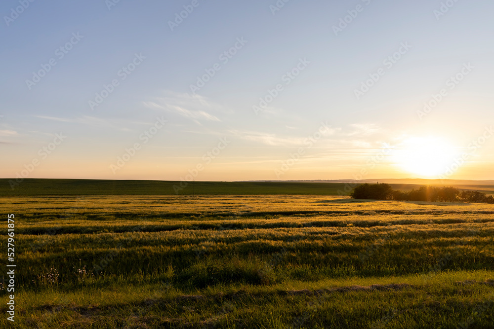 Sunset on an agricultural field in the summer Sunset on an agricultural field in the summer