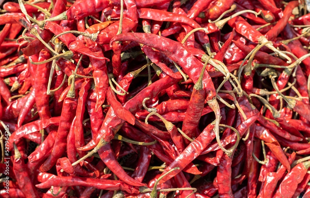 Top View of Dry Red Chillies Heap in Horizontal Orientation, Perfect for Wallpaper and Background