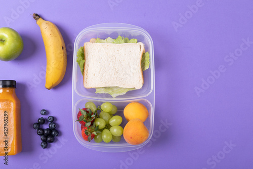 Directly above shot of fruits and juice bottle by sandwich in tiffin box on purple background