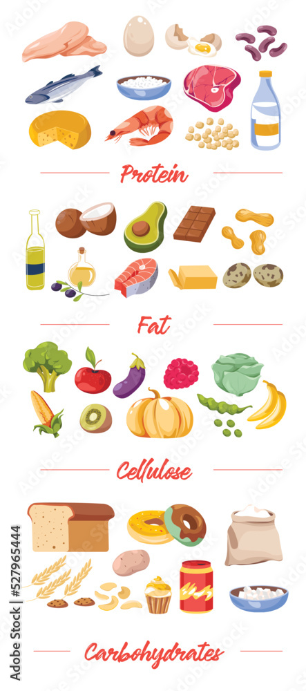 Food by type, proteins and fat, cellulose vector