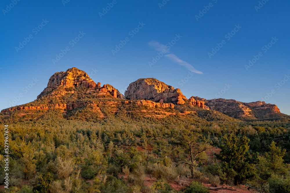 Southwest Red Rock Landscape