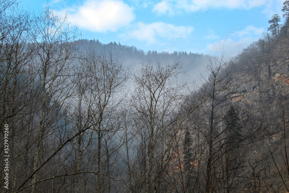The fog surrounding dark forest in beautiful mountains in the early morning, Mezmay, Russia, Caucasus mountains, blue sky with copy space for text, wallpaper, background The fog surrounding dark forest in beautiful mountains in the early morning, Mezmay, Russia, Caucasus mountains, blue sky with copy space for text, wallpaper, background