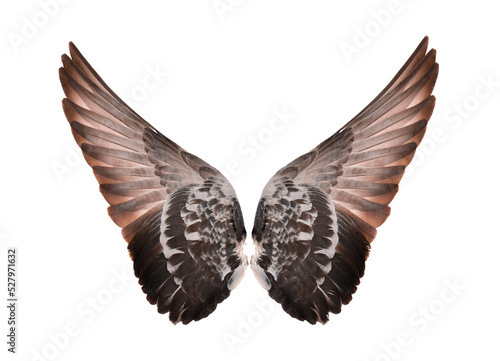 Wings isolated on ransparent png