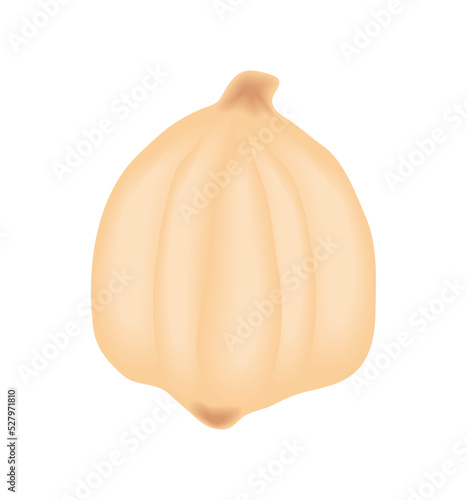 macadamia isolated icon