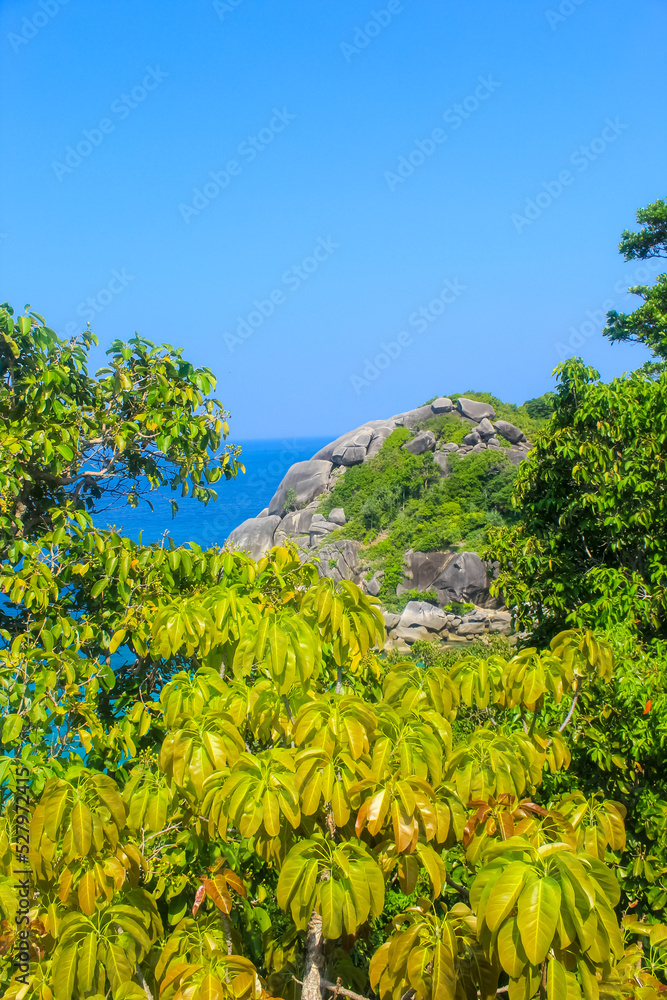 Close up on tropical trees and granite rock of Similan islands, Phuket, Thailand, vertical image with copy space for text, wallpaper, background