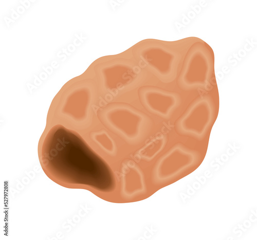 nut icon vector