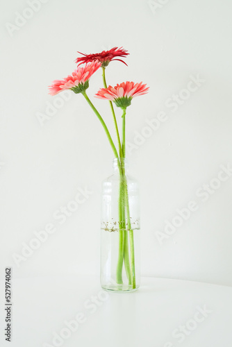red flower in vase