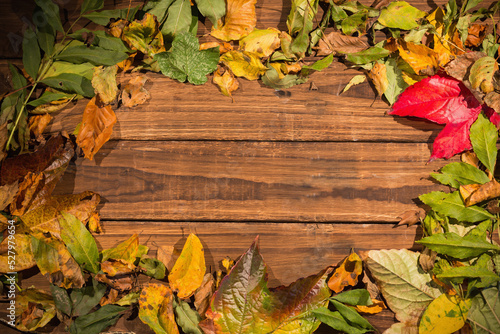 Leaves fallen on wooden plank