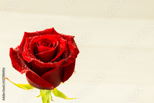 Fototapeta Naklejka Na Ścianę i Meble -  Red rose on wood