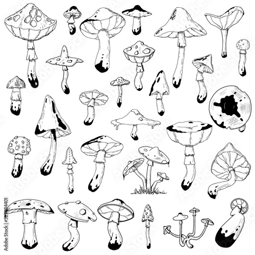 Set of magic mushrooms. Vector illustrations. Isoalted on white. Hand-drawn style.