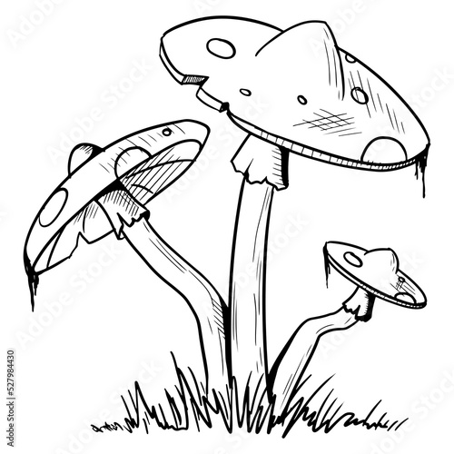 Mushrooms with a caps with poisonous dots. Vector illustration isolated on a white background. Hand-drawn style.