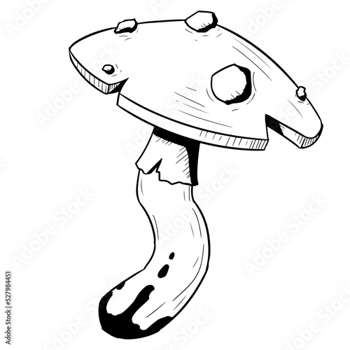 Mushroom with a cap with poisonous dots. Vector illustration isolated on a white background. Hand-drawn style.