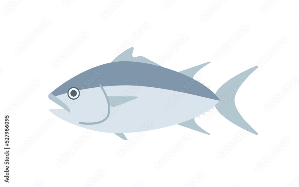 Tuna illustration マグロ Tuna illustration マグロ