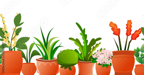 Indoor plants and flowers. Seamless horizontal composition. In ceramic pots. Homemade beautiful herbs. Isolated on white background. Cartoon fun style. Vector