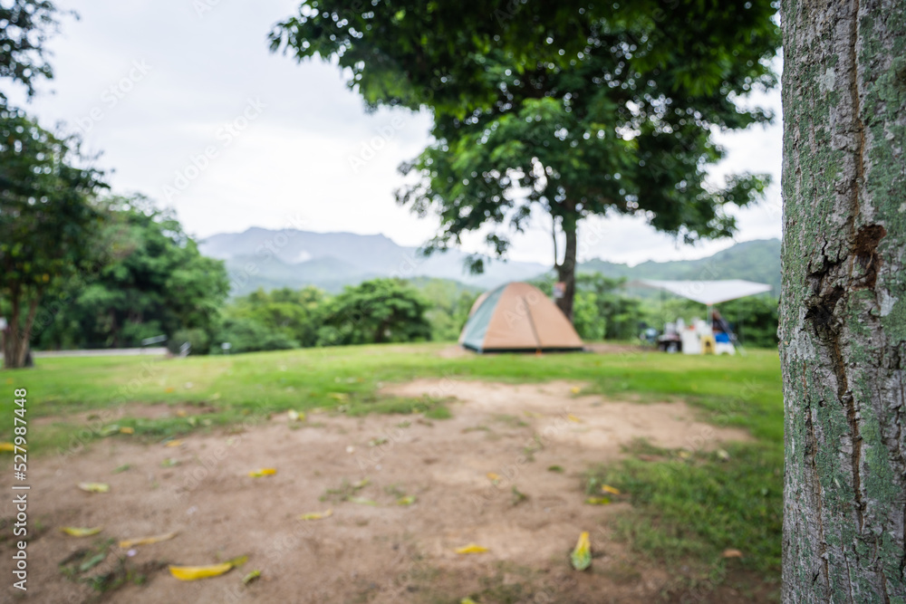 Tourist tent on green grass under trees with mountain view, holiday camping.