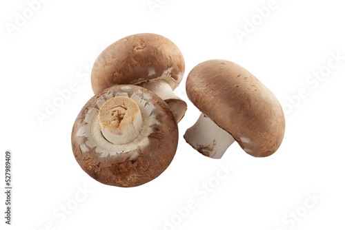 Obraz na plátně Three brown champignons or portobello mushrooms isolated transparent png