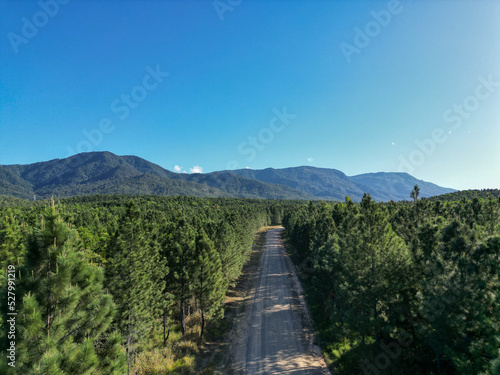 Aerial photo of tropical road in the forrest with mountains and clear blue sky