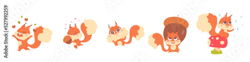 Cute squirrel actions set, fluffy squirrel playing with oak acorn, autumn nut harvest