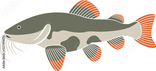 Redtail catfish logo. Isolated redtail catfish on white background