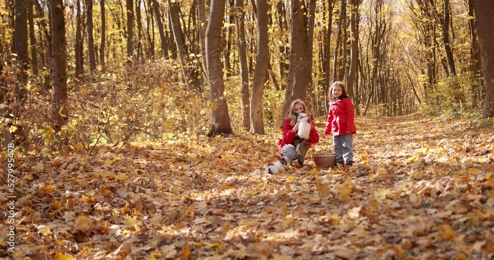 Mother and daughter playing with dogs in the forest Mother and daughter playing with dogs in the forest
