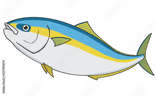 ブリ　イラスト