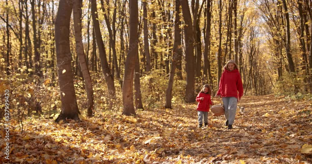 Rare view young mother with daughter walk in the forest Rare view young mother with daughter walk in the forest