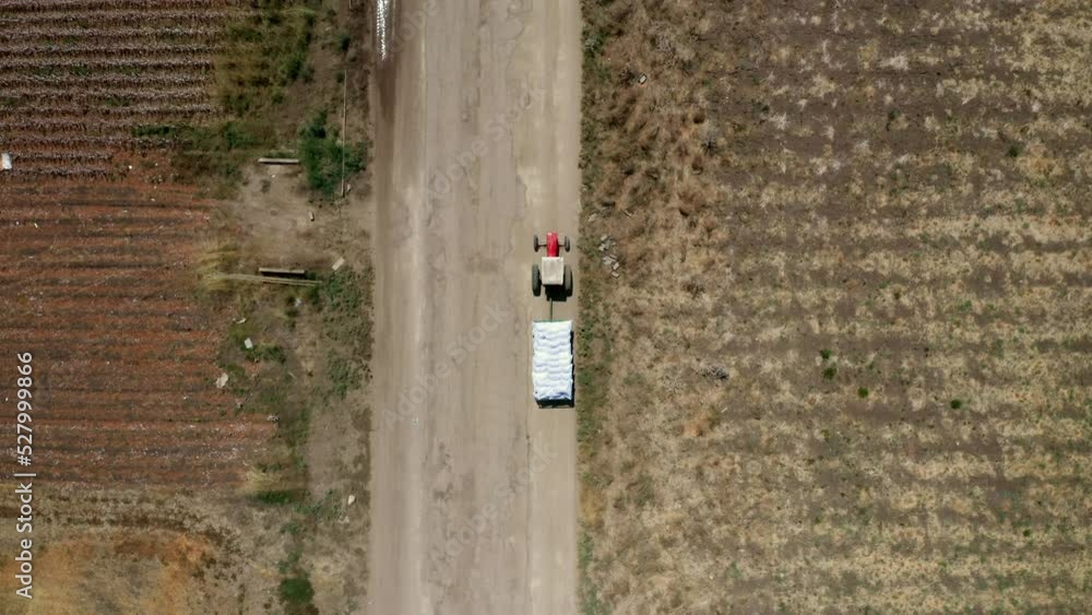 Tractor hauling sacks of Chili peppers across a field, aerial view. Tractor hauling sacks of Chili peppers across a field, aerial view.