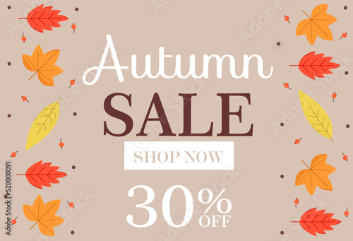Autumn Sale background  banner  poster or flyer design. Vector illustration with bright beautiful leaves frame and text fall for it 30   off. Template for advertising  web  social and fashion ads