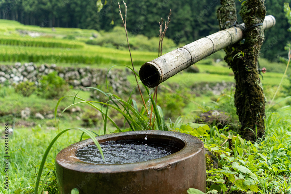 Fototapeta premium 井戸