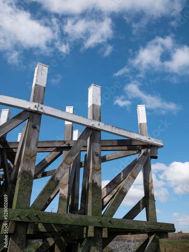 Wooden pillars of a bridge on the river Scheldt in Belgium