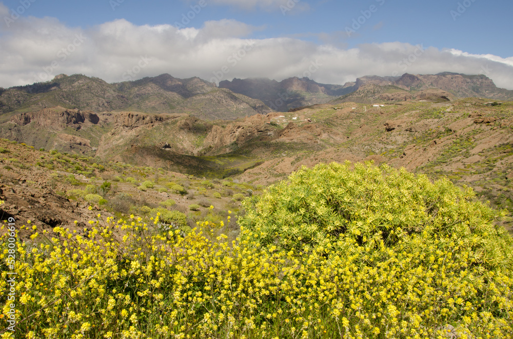 Rough landscape in the southwest of Gran Canaria. Canary Islands. Spain.